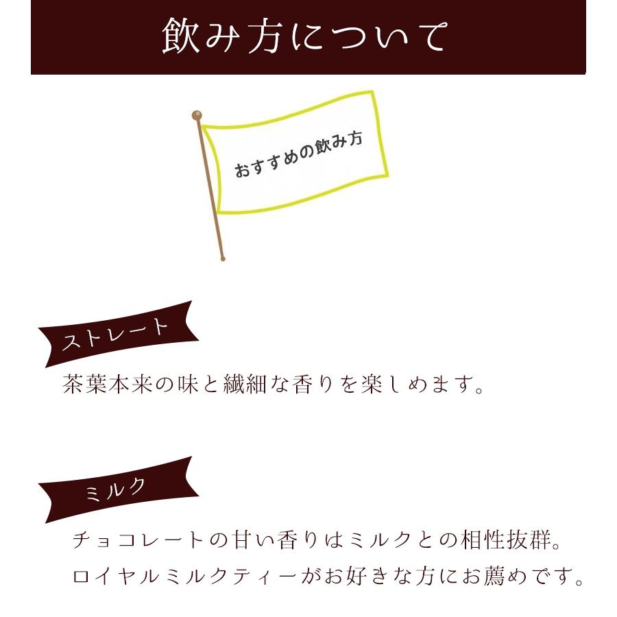 大人気新作 フレーバーティー 紅茶 ティーバッグ ラクシュミー アメージングチョコモルト 15袋入 2個セット 砂糖不使用 ギフト おしゃれ 女性 プレゼント お茶 Columbiatools Com