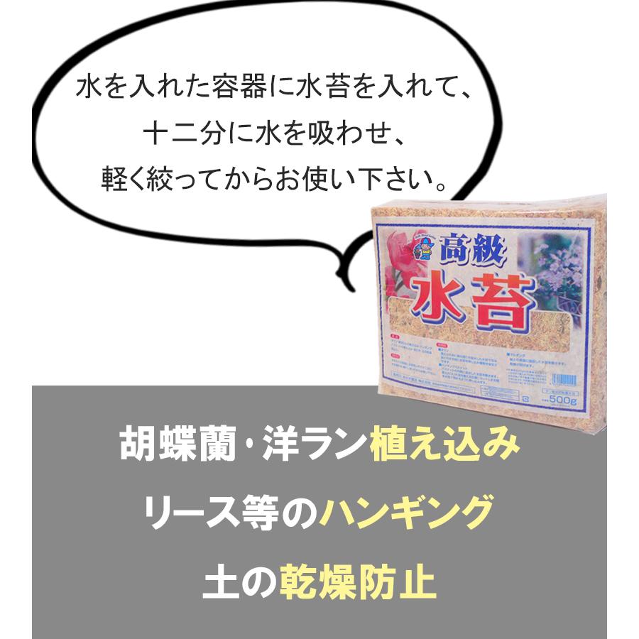 水苔 500g ミズゴケ 水ごけ 南米産 家庭菜園 ガーデニング 植え換え 胡蝶蘭 洋蘭 ラン 乾燥防止 観葉植物 園芸用品 大容量 業務用 あかぎ園芸 高級水苔 家庭用｜select-mofu-y｜06