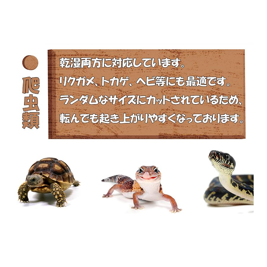 ペット用 床材 爬虫類 昆虫 ハスクチップ 10L あに〇 消臭 栽培