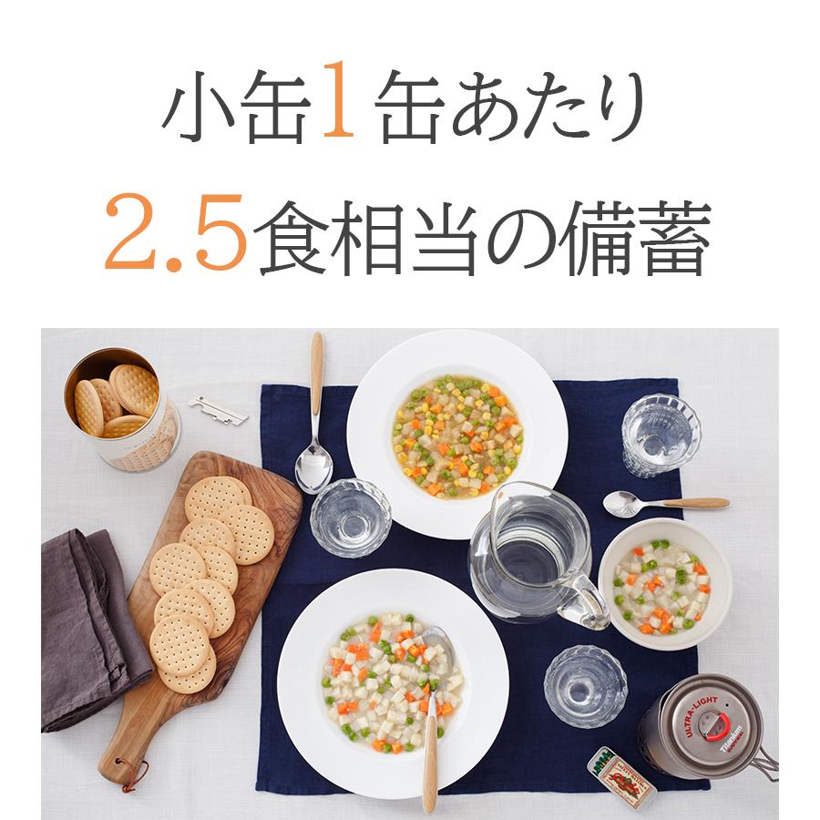 保存食 非常食 バラエティセット 小缶6個セット サバイバルフーズ 25年
