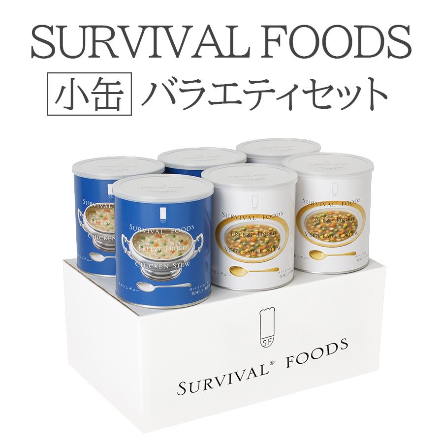 保存食 非常食 バラエティセット シチュー 小缶 6個セット サバイバル