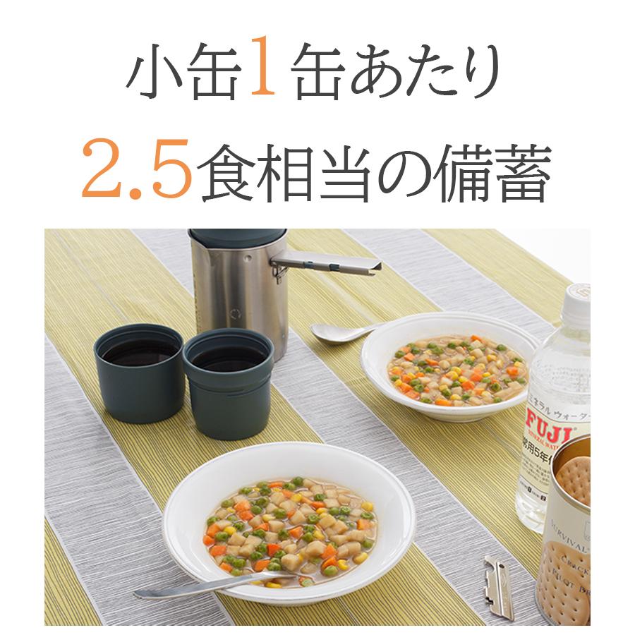 保存食 非常食 バラエティセット シチュー 小缶 6個セット サバイバル