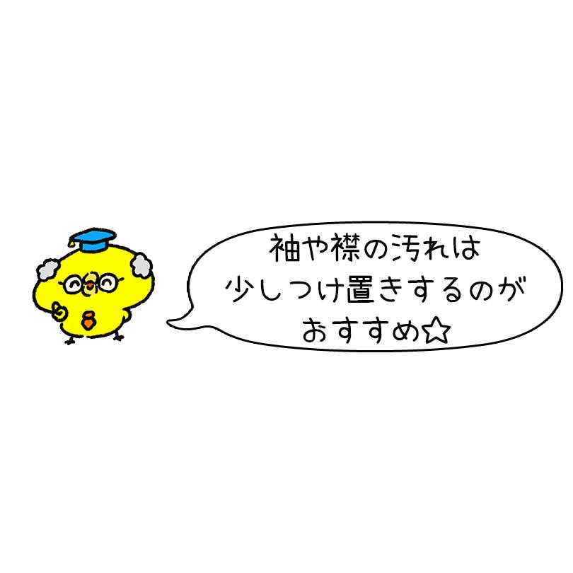 洗濯洗剤 詰め替え用 スノール シャボン玉せっけん 5L×3個セット 無