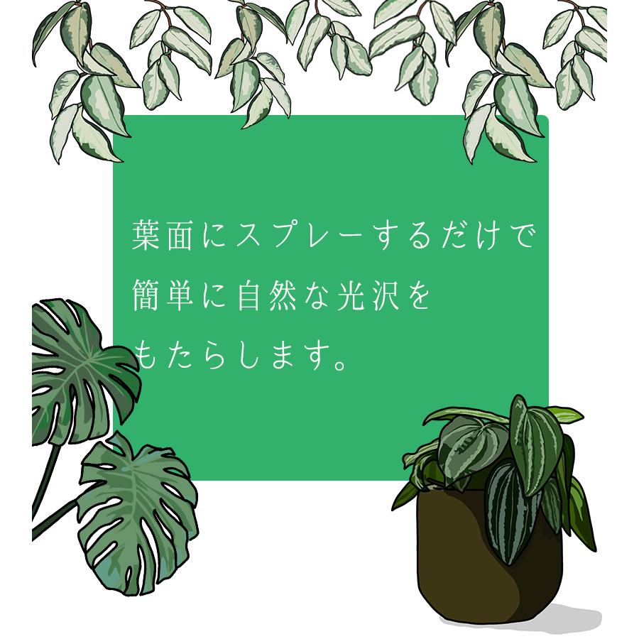 クリザール リーフシャイン エアゾール 250ml 観葉植物 艶出しスプレー