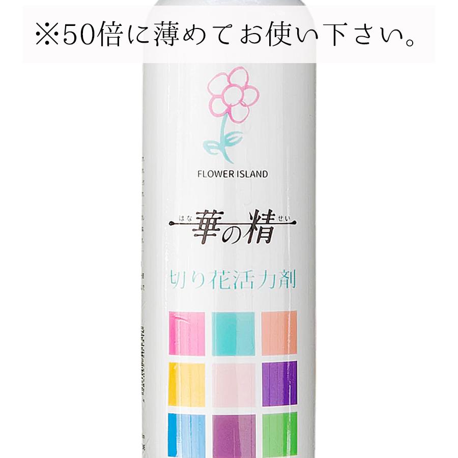 から厳選した パレス化学 華の精 リリー 2L 花資材 道具 切花栄養剤 促進剤 Ibanez IPB541-BK(Black) マルチ・ガジェット・バッグ 多目的ケース