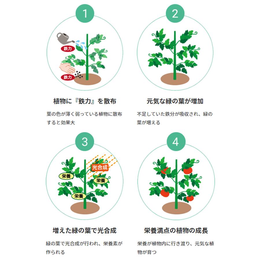 肥料・活力剤 鉄力あくあF10 1L 植物活性剤 土壌改良 堆肥 野菜 家庭菜園 ガーデニング 造園 庭木 植木 果樹 観葉植物 |  | 02
