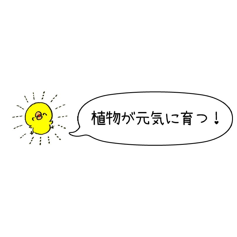 肥料・活力剤 鉄力あくあF10 1L 植物活性剤 土壌改良 堆肥 野菜 家庭菜園 ガーデニング 造園 庭木 植木 果樹 観葉植物 |  | 03