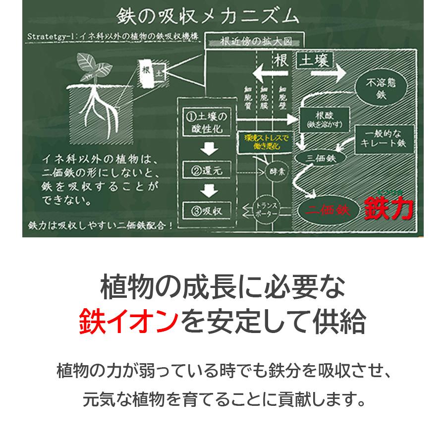 肥料・活力剤 鉄力あくあF10 1L 植物活性剤 土壌改良 堆肥 野菜 家庭菜園 ガーデニング 造園 庭木 植木 果樹 観葉植物 |  | 04