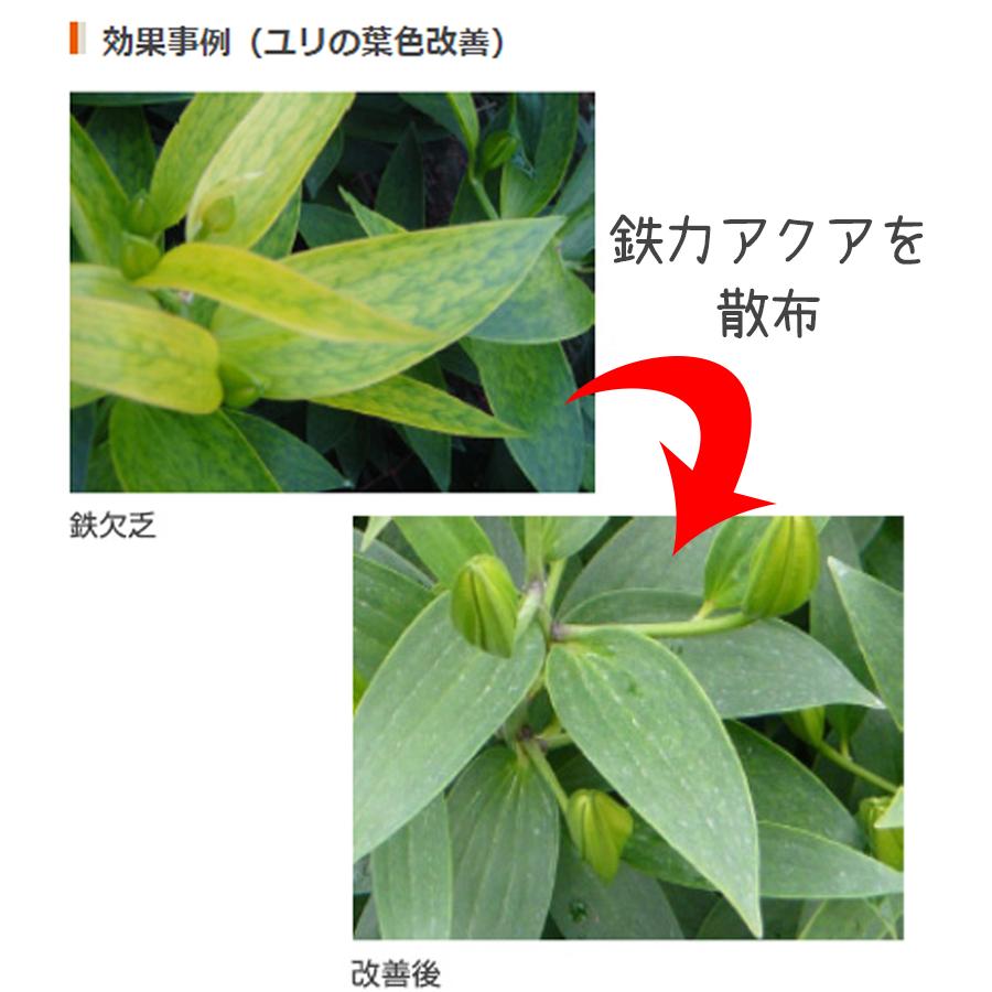 肥料・活力剤 鉄力あくあF10 1L 植物活性剤 土壌改良 堆肥 野菜 家庭菜園 ガーデニング 造園 庭木 植木 果樹 観葉植物 |  | 05