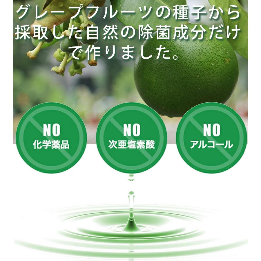 除菌 ディフェンドウォーター 4L 希釈タイプ 除菌剤 天然成分 野菜