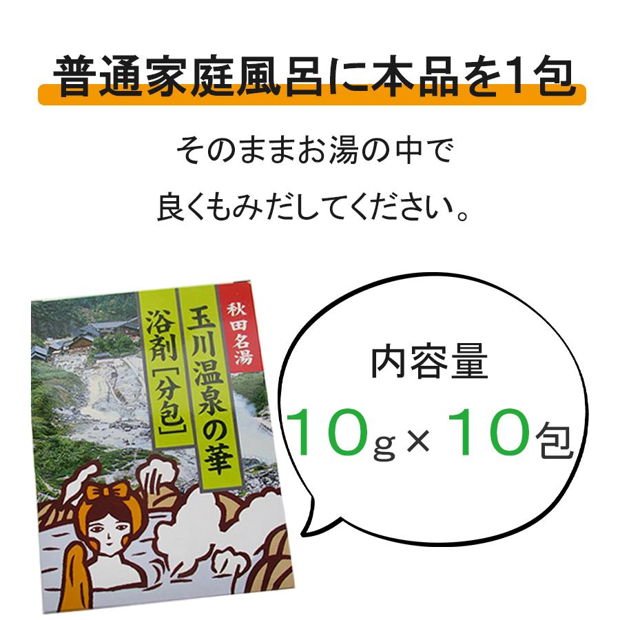 入浴剤 玉川温泉の華 10g×10包入り 小分け 分包 お風呂 バスグッズ