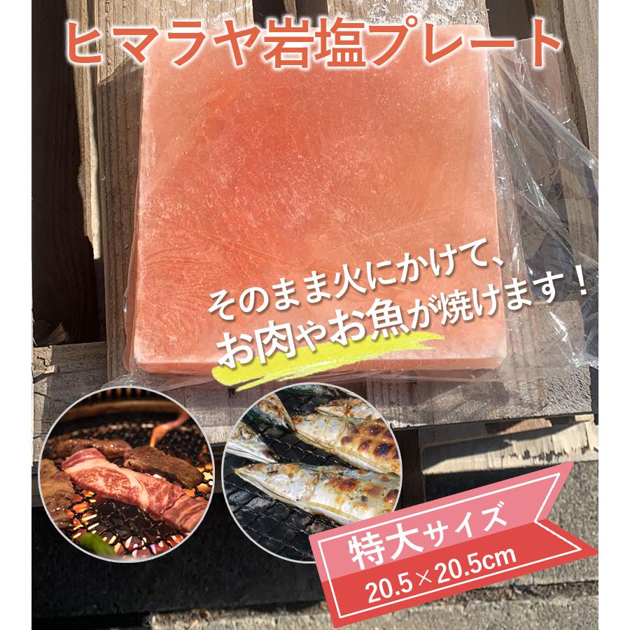 ヒマラヤ岩塩 プレート 特大サイズ 20.5cm×20.5cm 天然塩 正方形