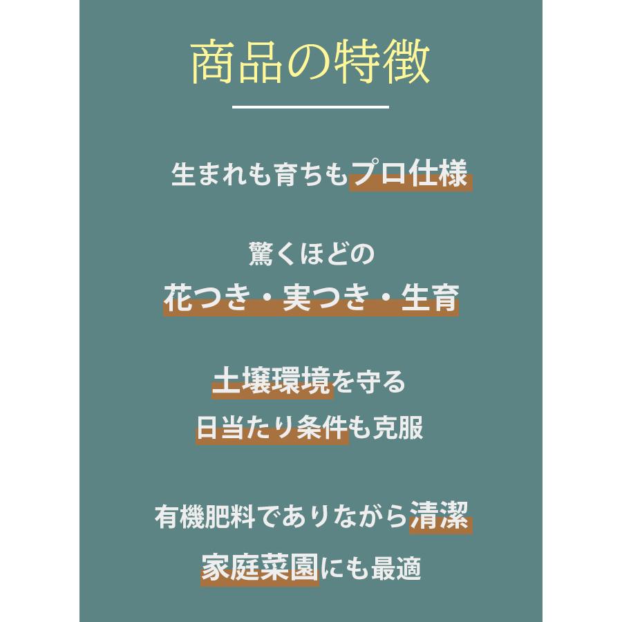 バイオゴールド オリジナル 天然有機肥料 5kg 野菜 果物 花 液肥 盆栽 天然肥料 活力剤 ガーデニング 土壌 堆肥 農業 家庭菜園 植物 タクト 日本製｜select-mofu-y｜03