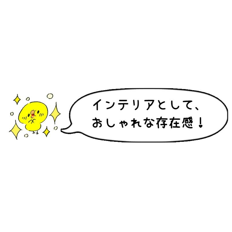BALMUDA バルミューダ スピーカー bluetooth ワイヤレス BALMUDA バルミューダ スピーカー bluetooth ワイヤレス