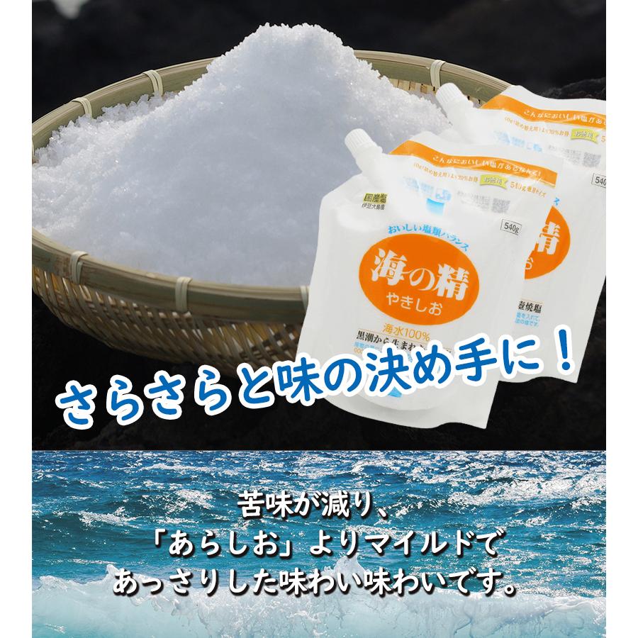 塩 国産 海の精 やきしお 540g 2個セット スタンドパック 調味料