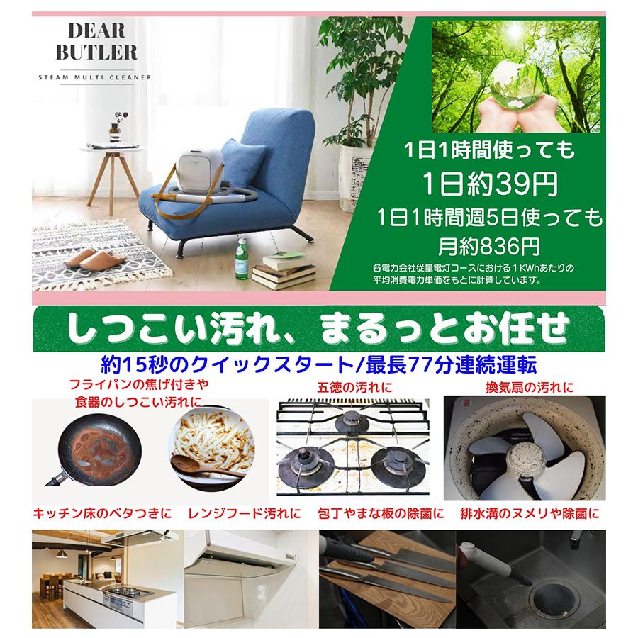 スチームクリーナー スチームマルチクリーナー DEARBUTLER SW-X1W 