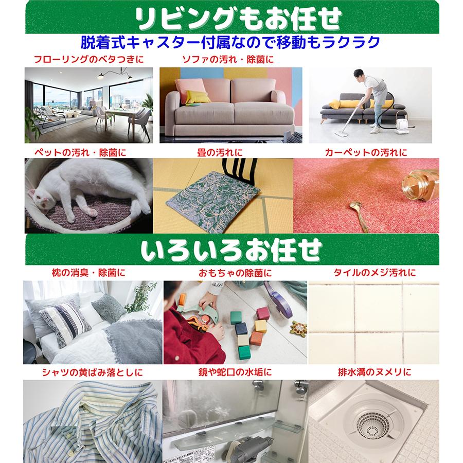 スチームクリーナー スチームマルチクリーナー DEARBUTLER SW-X1W