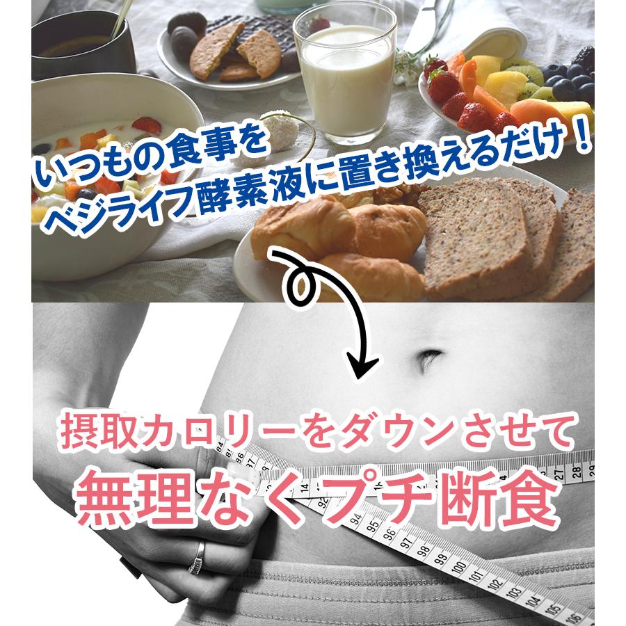 酵素ドリンク 美的90選 ベジライフ酵素液 500ml 2個セット 清涼飲料水