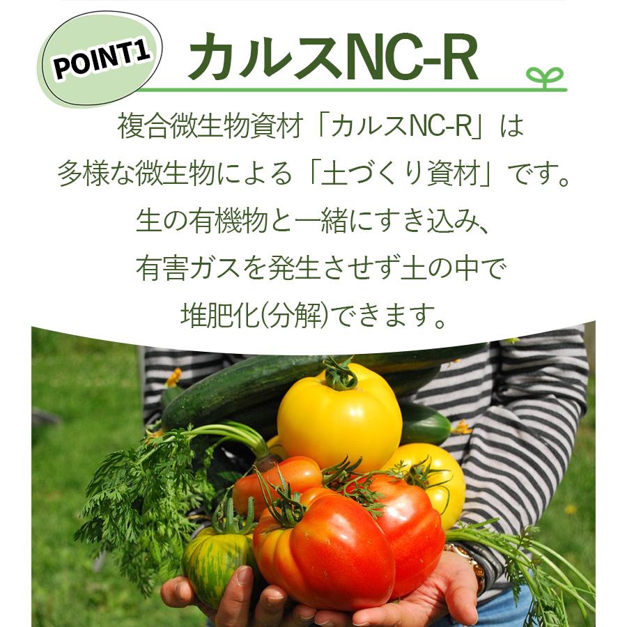 土壌改良 カルスNC-R 10kg 粒状 落ち葉 枯れ葉 生ごみ 土壌改良 カルスNC-R 10kg 粒状 落ち葉 枯れ葉 生ごみ