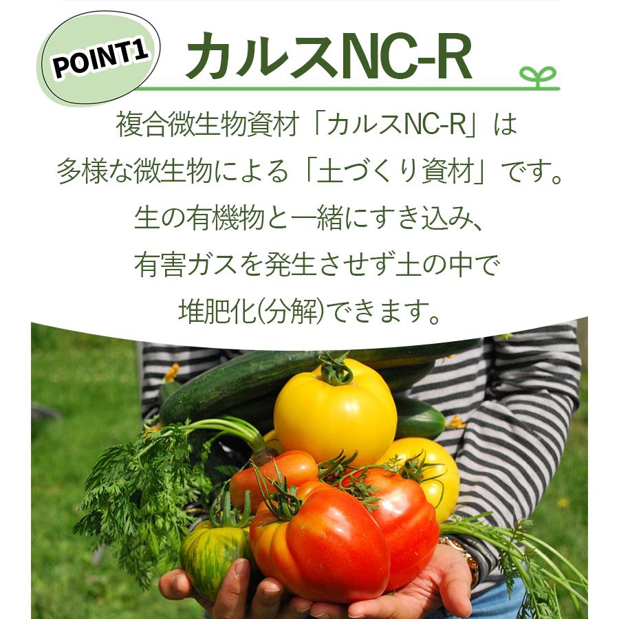 土壌改良 カルスNC-R 10kg 粒状 落ち葉 枯れ葉 生ごみ リサイクル サスティナブル プランター ガーデニング 芝生 土壌 堆肥 農業 家庭菜園 花 植物 畑｜select-mofu-y｜03
