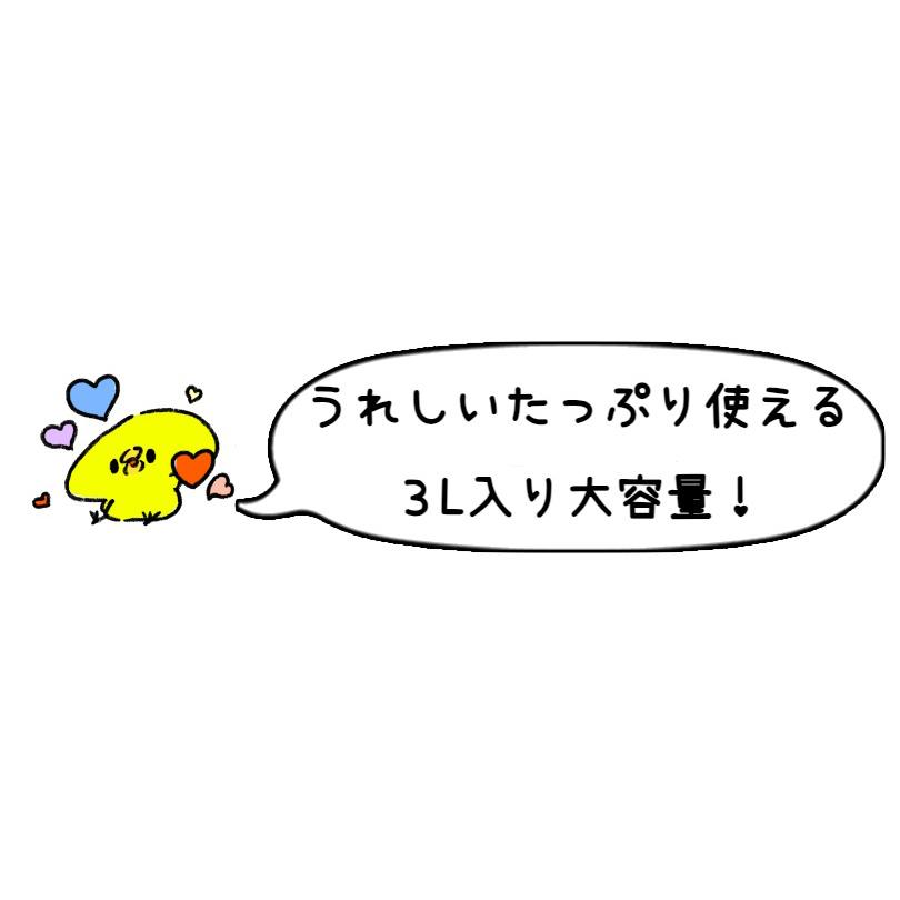 エステ EMS 美顔器ジェル 敏感肌用 3L つめかえ用 日本製 大容量 業務