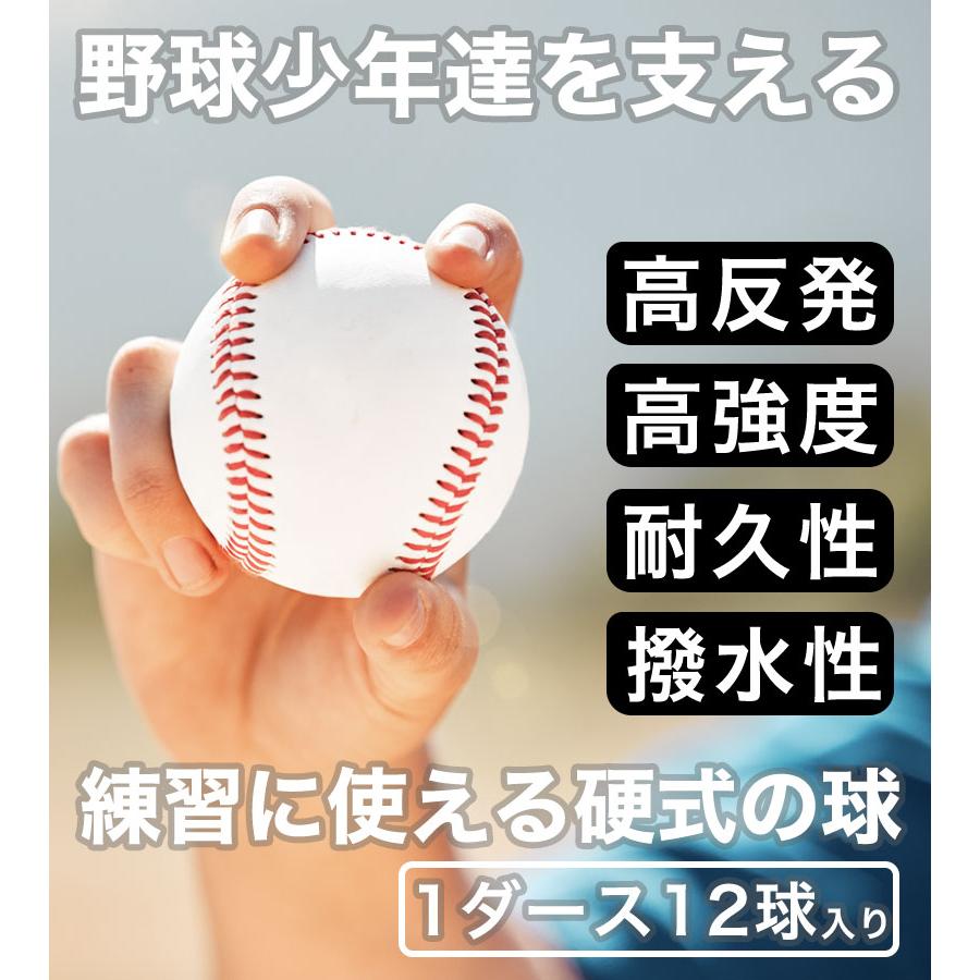 野球ボール 1ダース (12個入り) 個包装 練習用 高校 中学 草野球 部