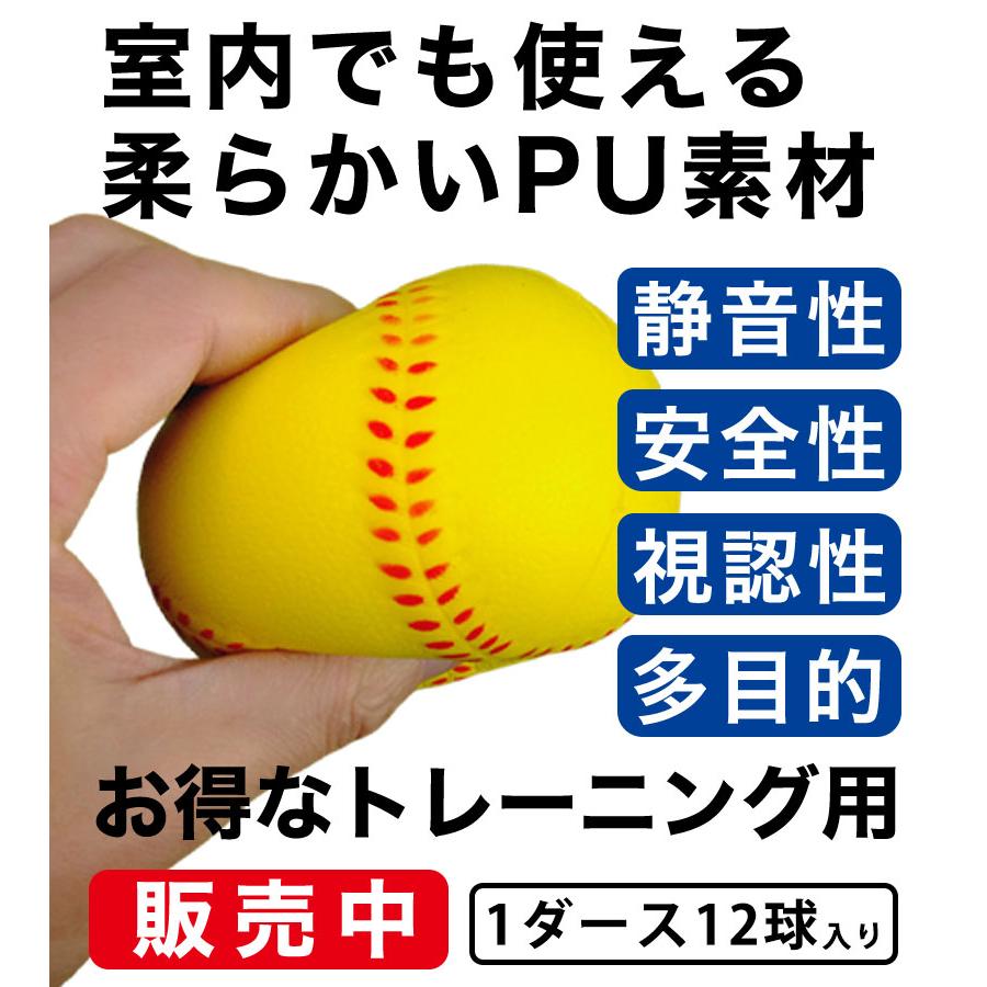 野球ボール 1ダース (12個入り) 個包装 練習用 高校 中学 草野球 部 