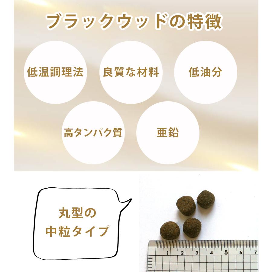 BLACKWOOD 1000 アダルト〜シニア 20kg BLACKWOOD ブラックウッド 1000 ドッグフード 20kg 5kg×4袋
