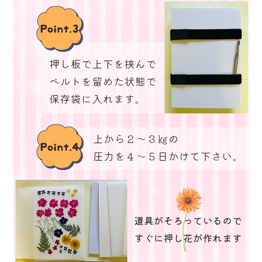 押し花 キット 押し花入門作成キット フラワープレス ハンドメイド