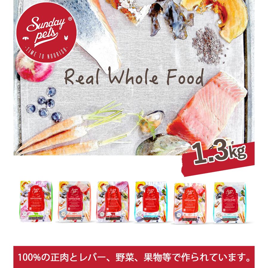 サンデーペッツ　６種アソートから選べる　6袋セット ドックフード サンデーペッツ ジェントルベイク 全6種 小型犬