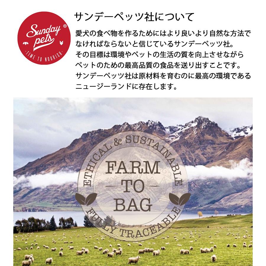 ドックフード サンデーペッツ ジェントルベイク 全6種 小型犬