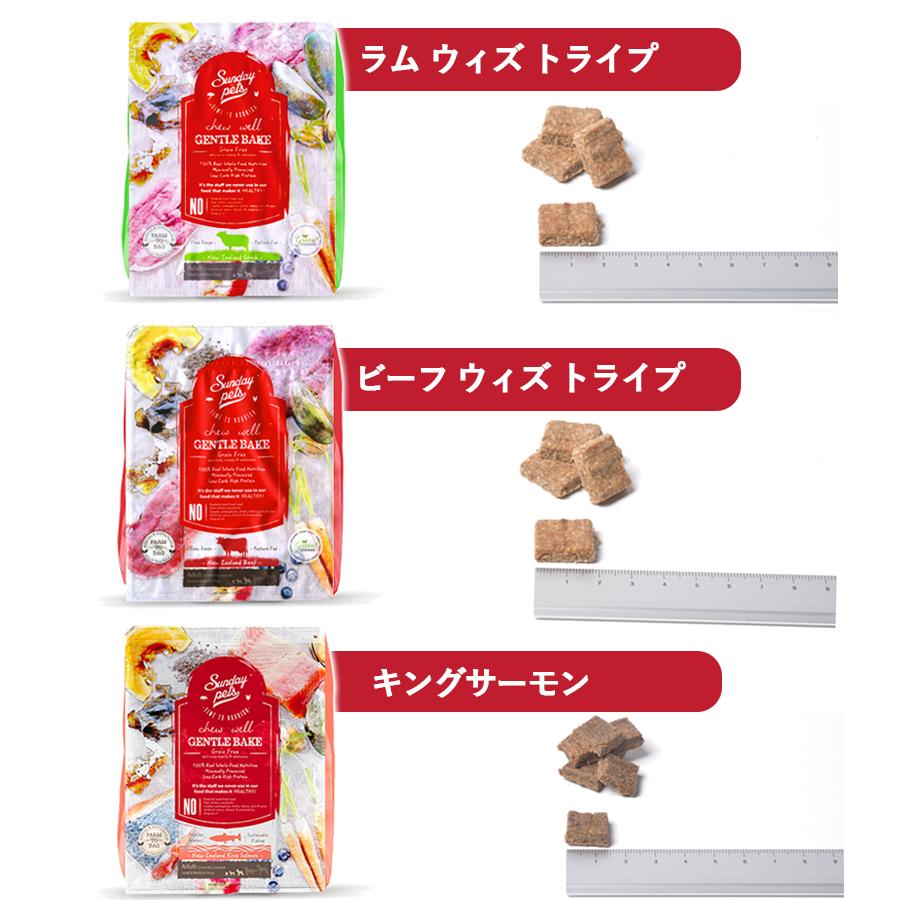 サンデーペッツ 6種アソートから選べる 6袋セット サンデーペッツ 6