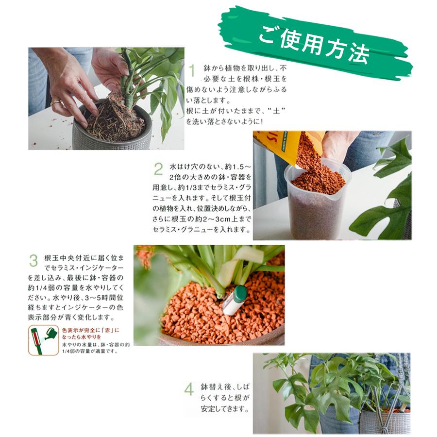 Mr.PLANT様 リクエスト 2点 まとめ商品 Mr.PLANT様 リクエスト 2点 まとめ商品 様 リクエスト 2点