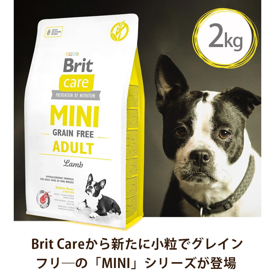 Mog Wan グレインフリーラム 2kg ドッグフード 2つセット ドッグフード Britケア ミニグレインフリー アダルトラム 2kg 成犬 餌