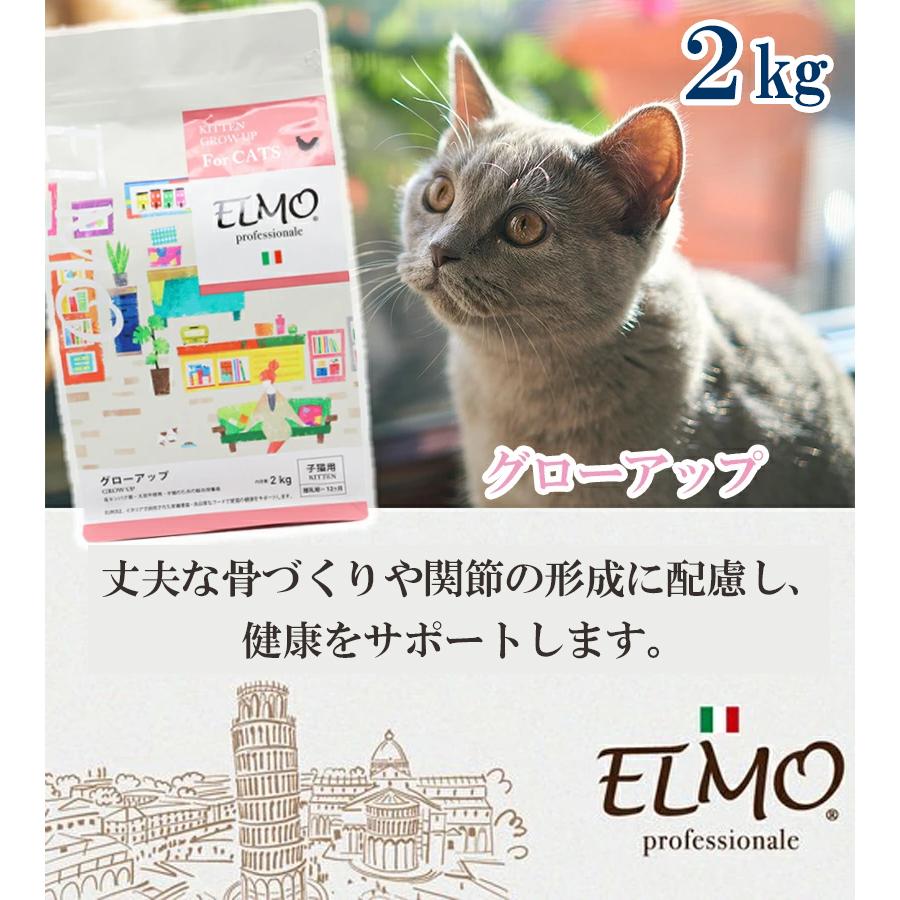 ELMO GROW UP 子猫用ドライフード 2kg 8袋 【公式通販】