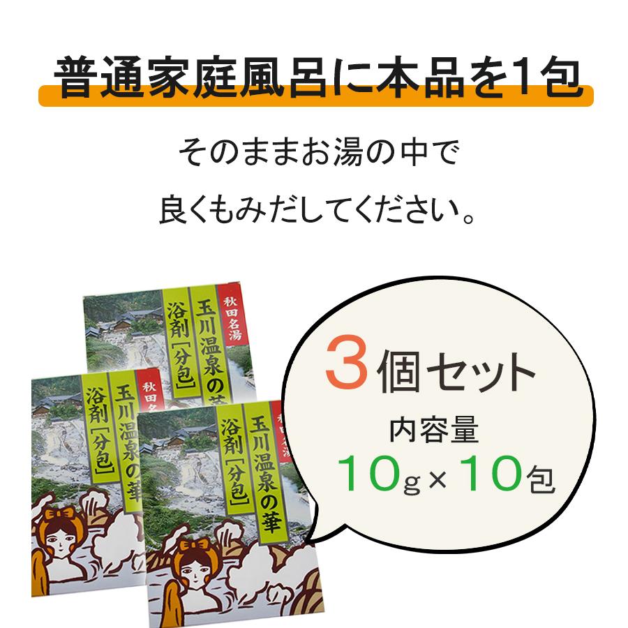 入浴剤 玉川温泉の華 10g×10包入り 3個セット 小分け 分包 お風呂 バス
