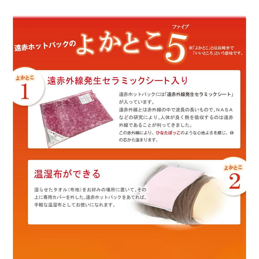 遠赤ホットパック 標準セット 電気 毛布 暖房器具 遠赤外線 カバー付き 