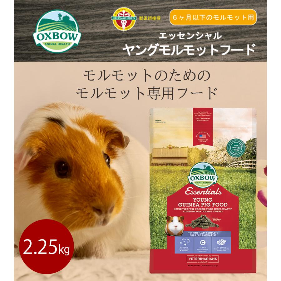 ペットフード モルモット エッセンシャル ヤングギニアピッグ 2.25kg