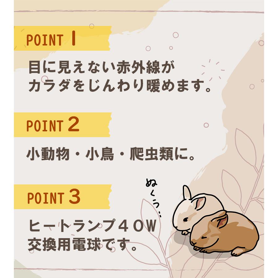 マルカン ヒートランプ 交換球 40W 小動物 小鳥 鳥 爬虫類 電球型