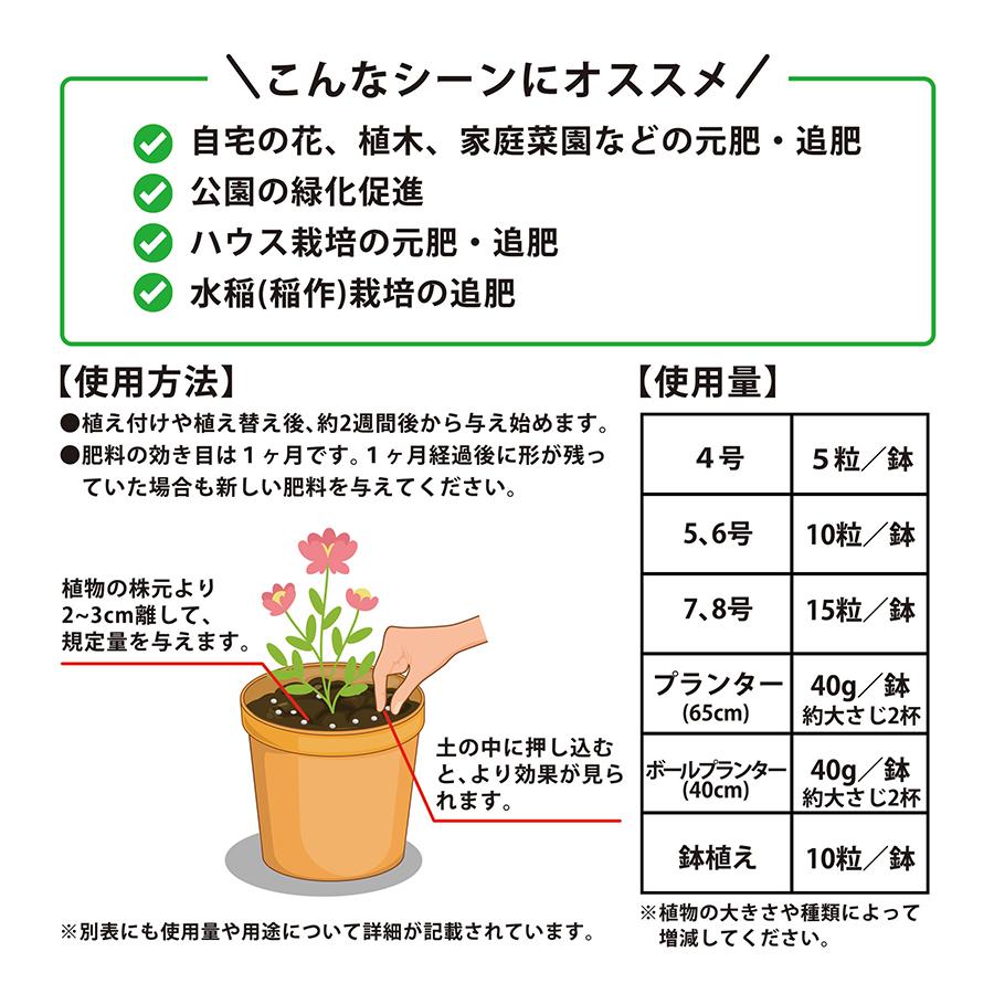 IB 化成肥料 大粒 顆粒 1kg 花・野菜用 土壌改良 成長促進剤