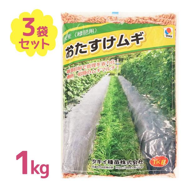肥料 土壌改良 大麦緑肥用 おたすけムギ 1kg 3個セット 発芽 まとめ買い 家庭菜園 業務用 ガーデニング 雑草制御 | 