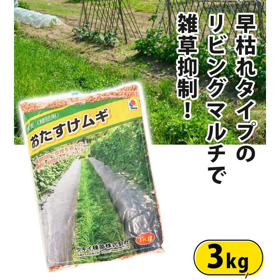 肥料 土壌改良 大麦緑肥用 おたすけムギ 1kg 3個セット 発芽 まとめ買い 家庭菜園 業務用 ガーデニング 雑草制御 |  | 01