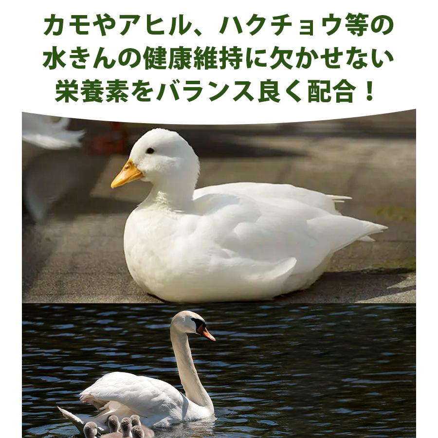 餌 エサ カモ アヒル 水鳥用 新水きん用 10kg ペットフード バード