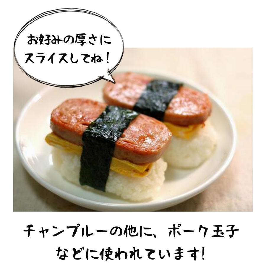 豚肉 鶏肉 缶詰 わしたポーク ジャパン 200g×12個セット 国産
