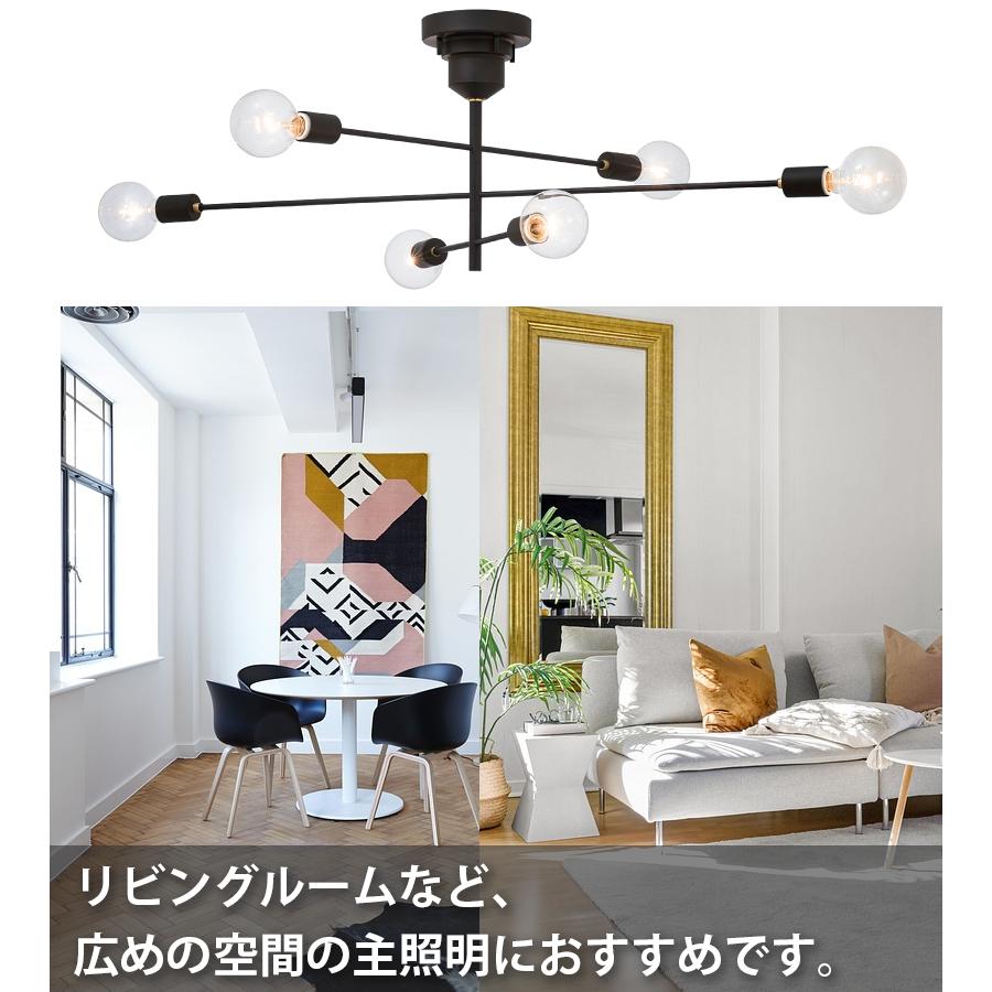 ASTRE LT-2679 ブラックシーリングライト　インダストリアル シーリングライト LT-2679 Astre (電球別売り)の通販｜東京