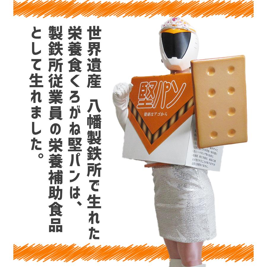 くろがね堅パン 10枚入 3個セット 堅パン 硬い お菓子 おやつ 健康食品