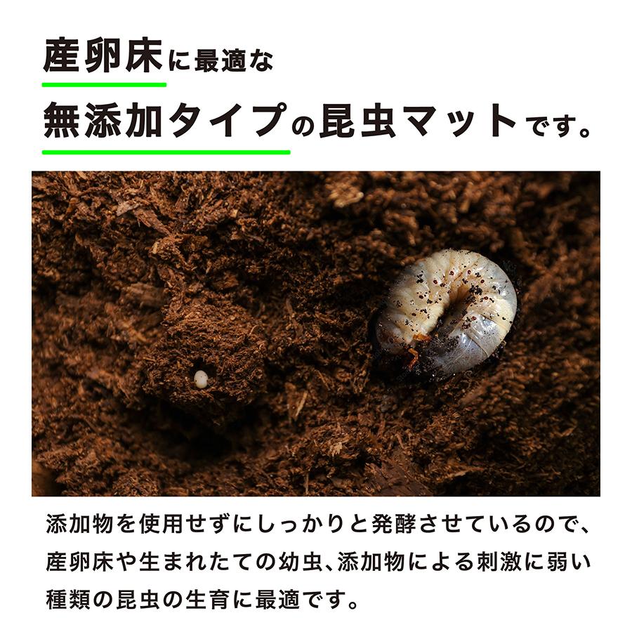 クワガタ 幼虫 成虫 育成 産卵用 プレミアム メガ発酵 クヌギ クワガタ 幼虫 成虫 育成 産卵用 プレミアム メガ発酵 クヌギ