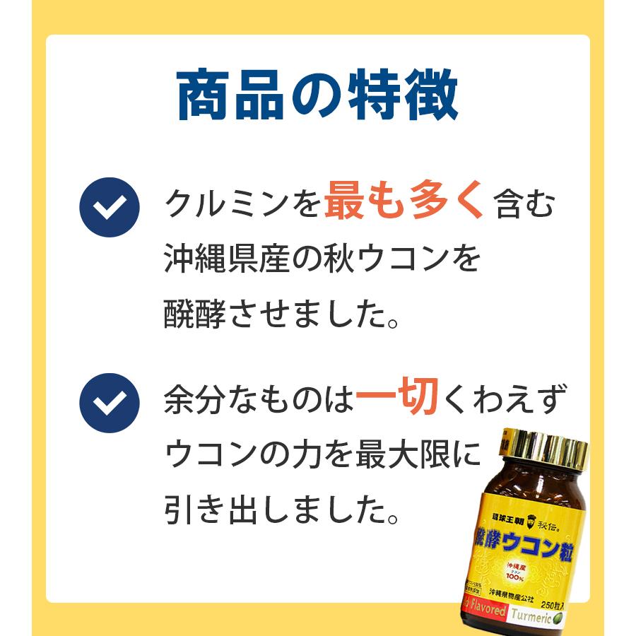 醗酵ウコン粒 詰替え用パック 1000粒(500粒×2袋入)*7箱 醗酵ウコン粒（1000粒）詰め替え用