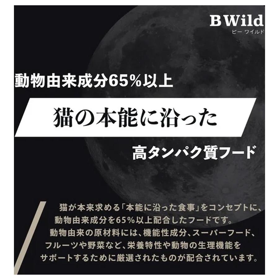 猫 キャットフード Bwild ローグレイン アンチョビ ネコ ねこ ビー