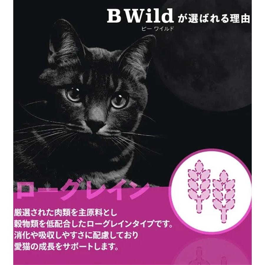 Bwild キャットフード　アンチョビ Amazon | 【成猫用 イタリア製 キャットフード 400g】BWild ビー